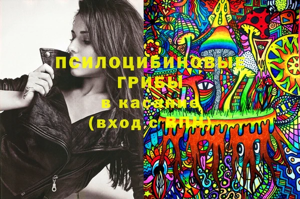 гашик Дмитров