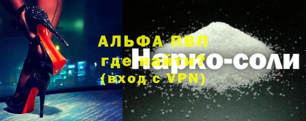 гашик Дмитров