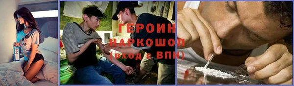гашик Дмитров