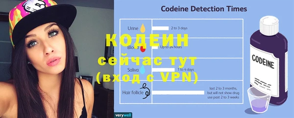 дживик Гусев