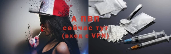 гашик Дмитров