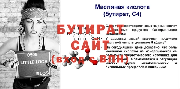 гашик Дмитров
