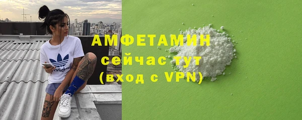 гашик Дмитров