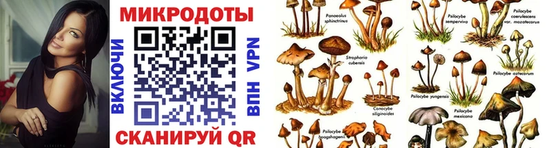 Галлюциногенные грибы ЛСД  Купить где  Иланский 