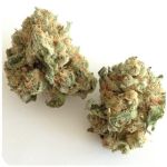 Шишки "White Widow"  (Белая вдова)  Гидропоника -  Бошка VHQ в Иланском